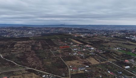 Teren Intravilan, Nicolae Beldiceanu