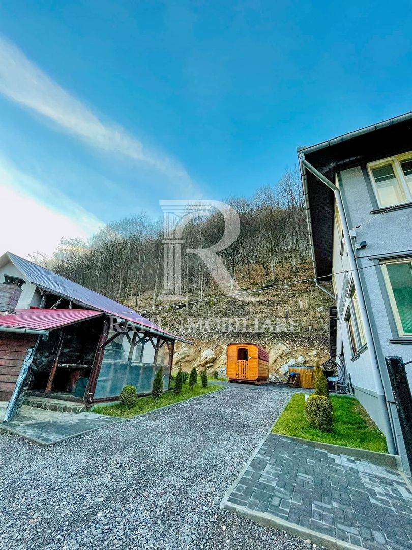 PENSIUNE DE ÎNCHIRIAT | REMEȚI | BIHOR | CIUBĂR & SAUNĂ - Poză 8