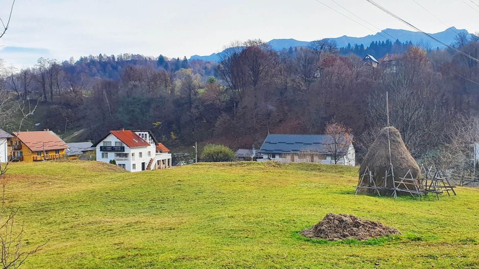 Bran Moeciu, pretabil pensiune sau dezvoltare imobiliară - Poză 6