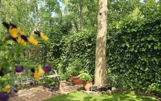 Vila 4 camere 220 mpu - 400 mp teren - Pipera / V Alecsandri - Poză 5