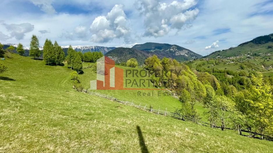 Teren in sat Pestera, comuna Moeciu. - Poză 6