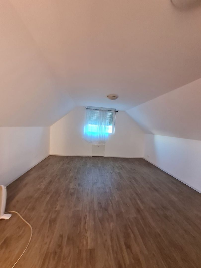 Casa cu teren de 14340 mp în Jebel/Pretabila pentru afacere - Poză 47