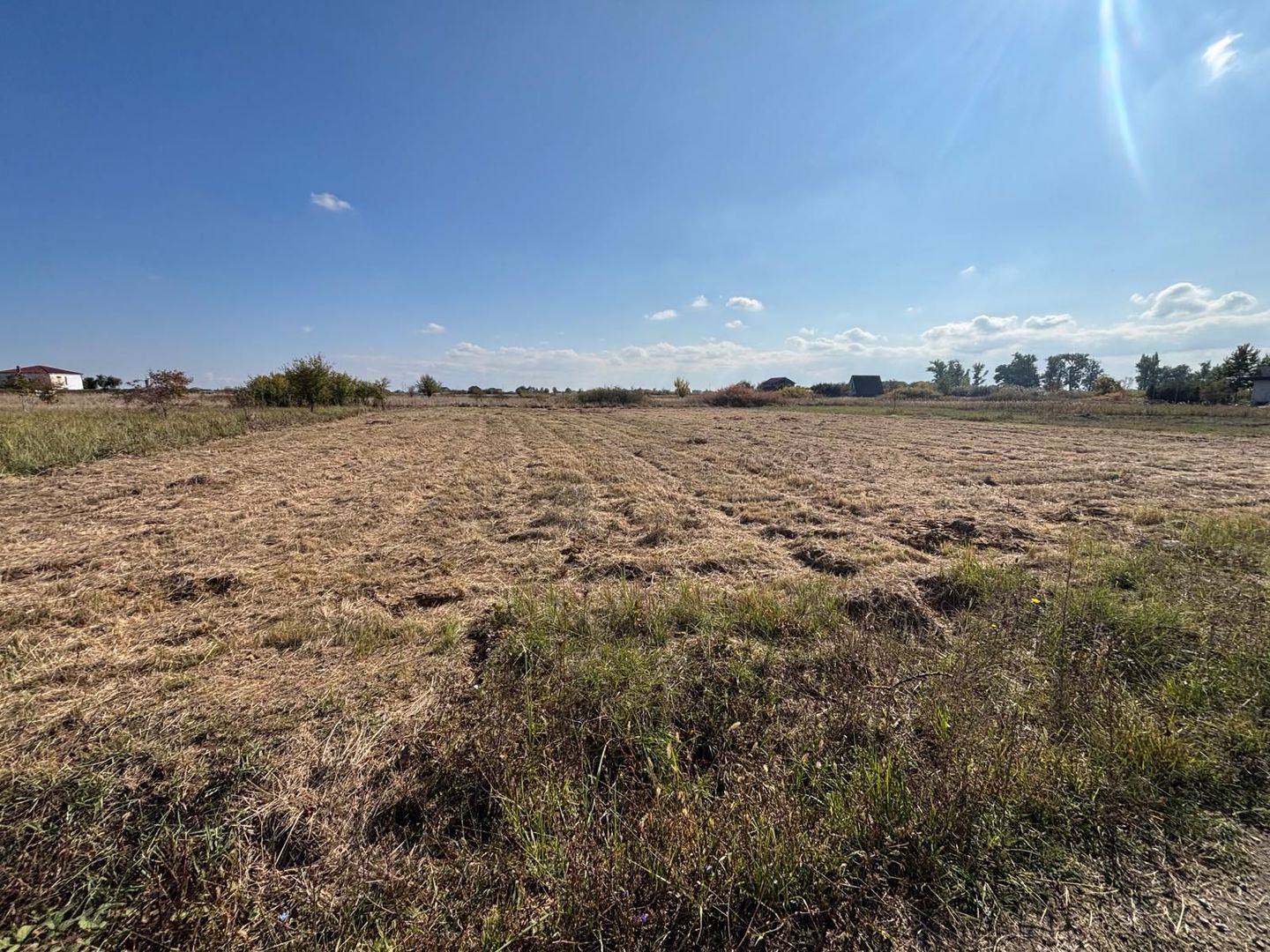 Teren Mosnita NOua 780 mp posibilitate duplex - Poză 2