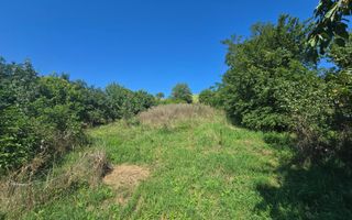 Comision 0%! Casa 3 camere Gura Ariesului, 1500mp Teren - Poză 11