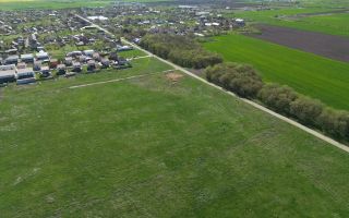 Teren intravilan 1490mp | SAD | Covaci - Poză 2