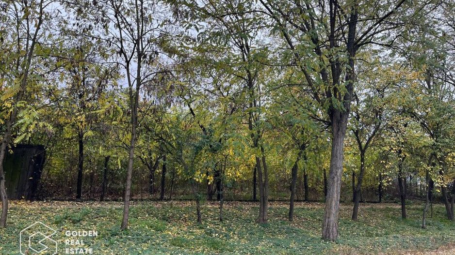 Casa traditionala cu gradina de 2200 mp, Peregu Mic - Poză 7