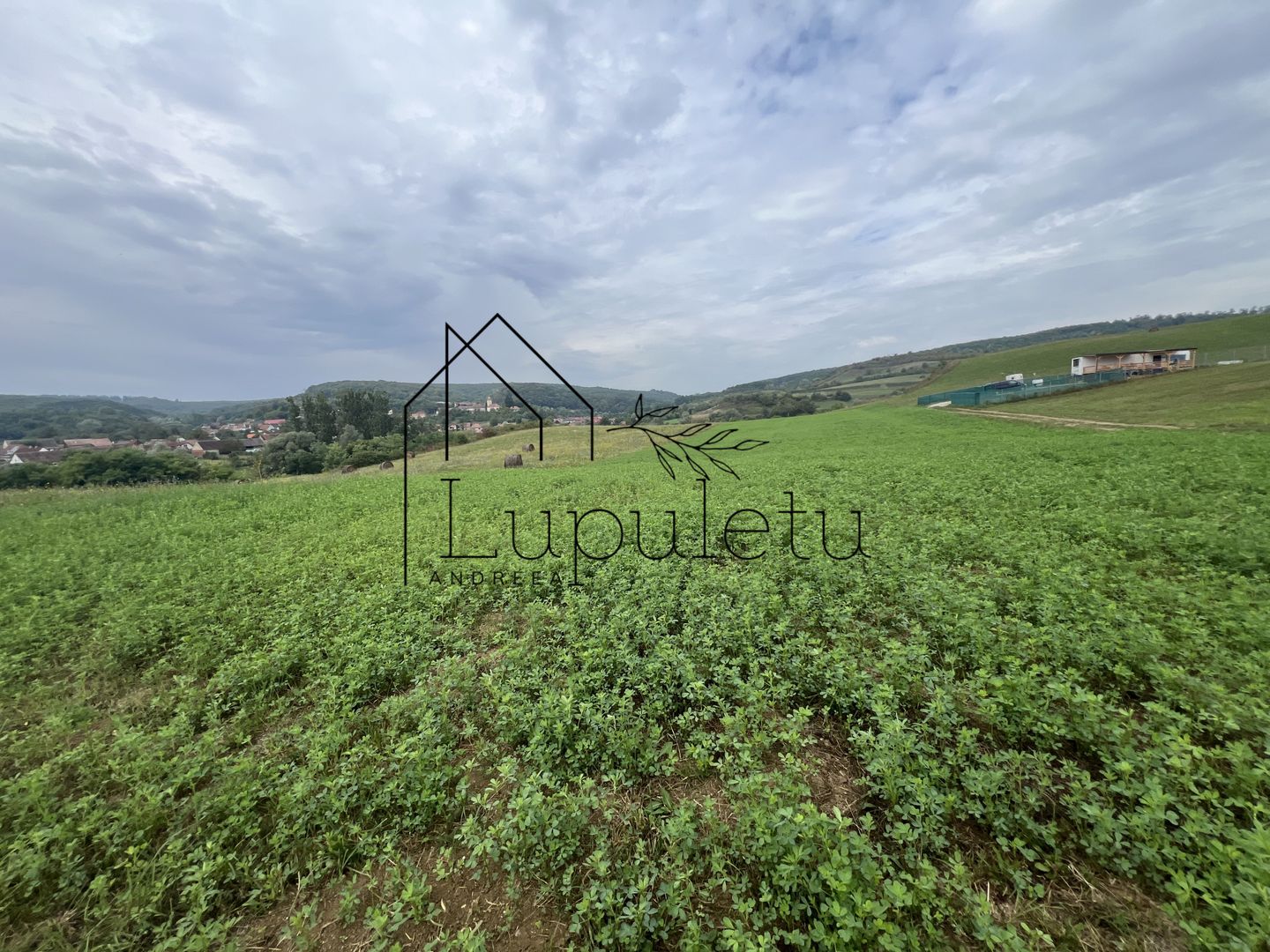 Teren | 1.500 MPU | Bradu - Poză 3