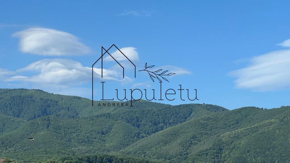 Apartament 2 Camere | 40 MPU |  Zonă Centrală Cisnădie - Poză 12