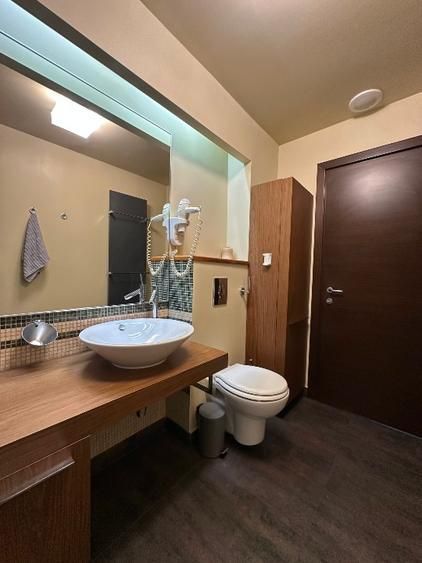 De imchiriat Apartament 3 camere Alba Iulia sector 3 - Poză 10