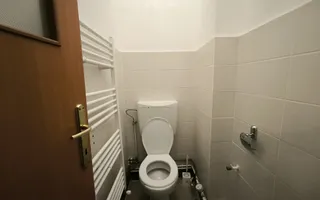 Spatiu Comercial Micalaca, Malul Muresului, zona 300 vizavi UAV - Poză 14