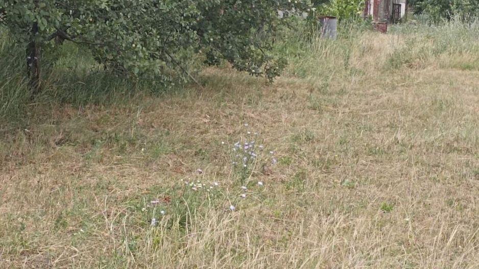 Casa cu teren de vanzare-Satmarel, Satu Mare - Poză 6