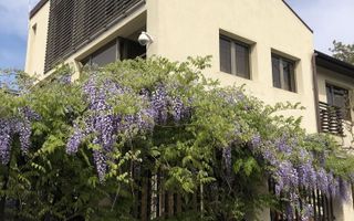Vilă spectaculoasă în zona Brâncoveanu | 270 mp | Garaj| Curte proprie - Poză 3