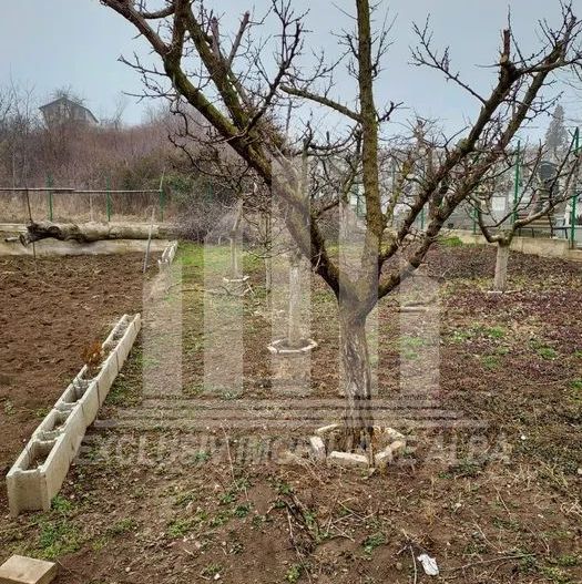 Casa individuala de vanzare cu teren - Poză 3