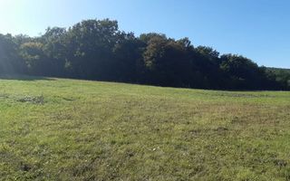 Teren intravilan de vanzare, Micesti - Poză 3