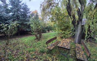 Un colț de verde, la doi pași de lac. - Poză 3