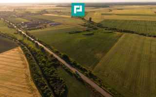 TEREN EXTRAVILAN DE 42.200 MP SECUSIGIU - Poză 4