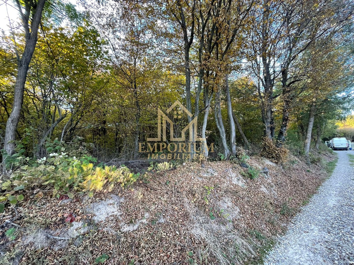 Teren Extravilan, Ciurila, Padurea Faget - Poză 2