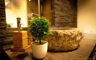 Apartament la cheie, cu grădină proprie, pretabil locuit sau închiriere - Poză 7