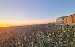 Teren extravilan lângă I&M Polux, pe drumul spre Limanu