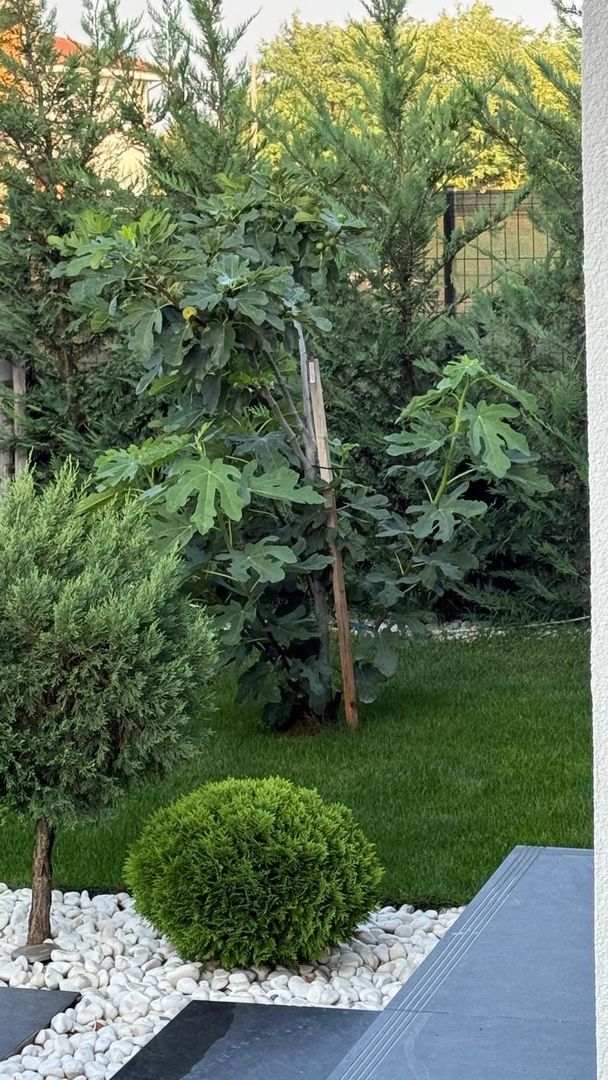 Vând vilă nouă în Dumbrăvița-Timișoara - Poză 25