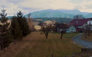 Teren 3779 mp Bran Predelut - Poză 2