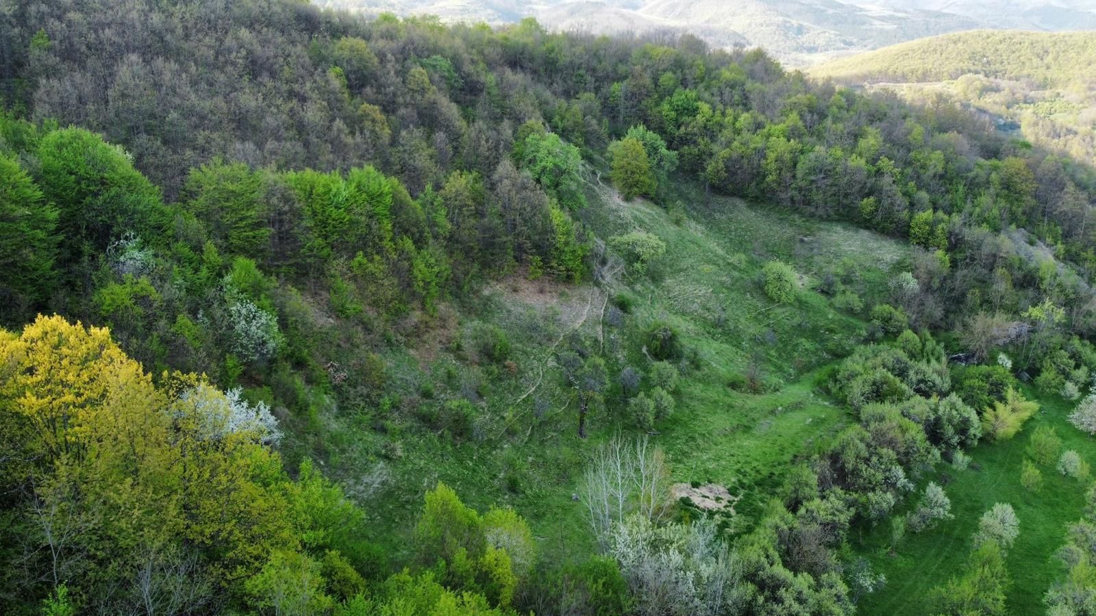 Vand teren in Poiana Ampoiului comuna Metes jud. Alba - Poză 2