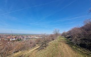 Teren extravilan,  zona si priveliste superba, Cuvin - Poză 4