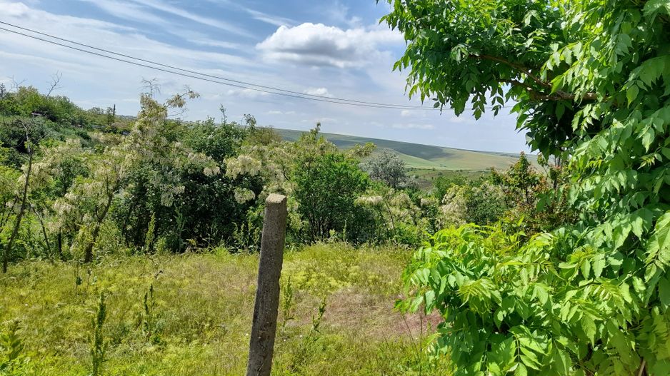 Casă cu teren de 1.470 mp de vânzare – Fântânele, Scânteiești - Poză 40