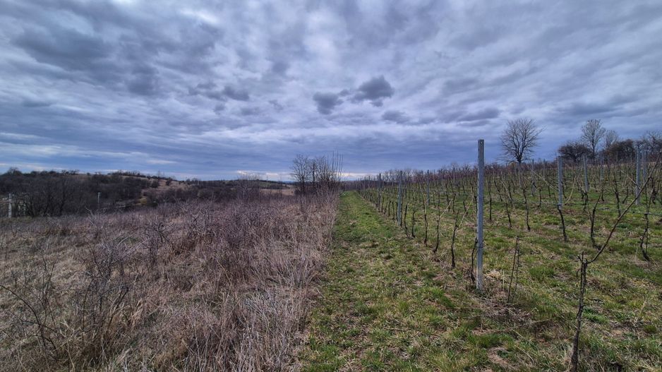 Vand 2 parcele de 5700 mp zona Iabalcea - Poză 1