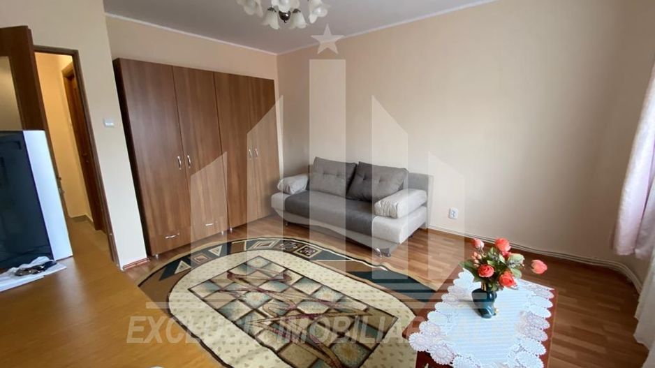 Apartament cu o camera in Cetate - Poză 7