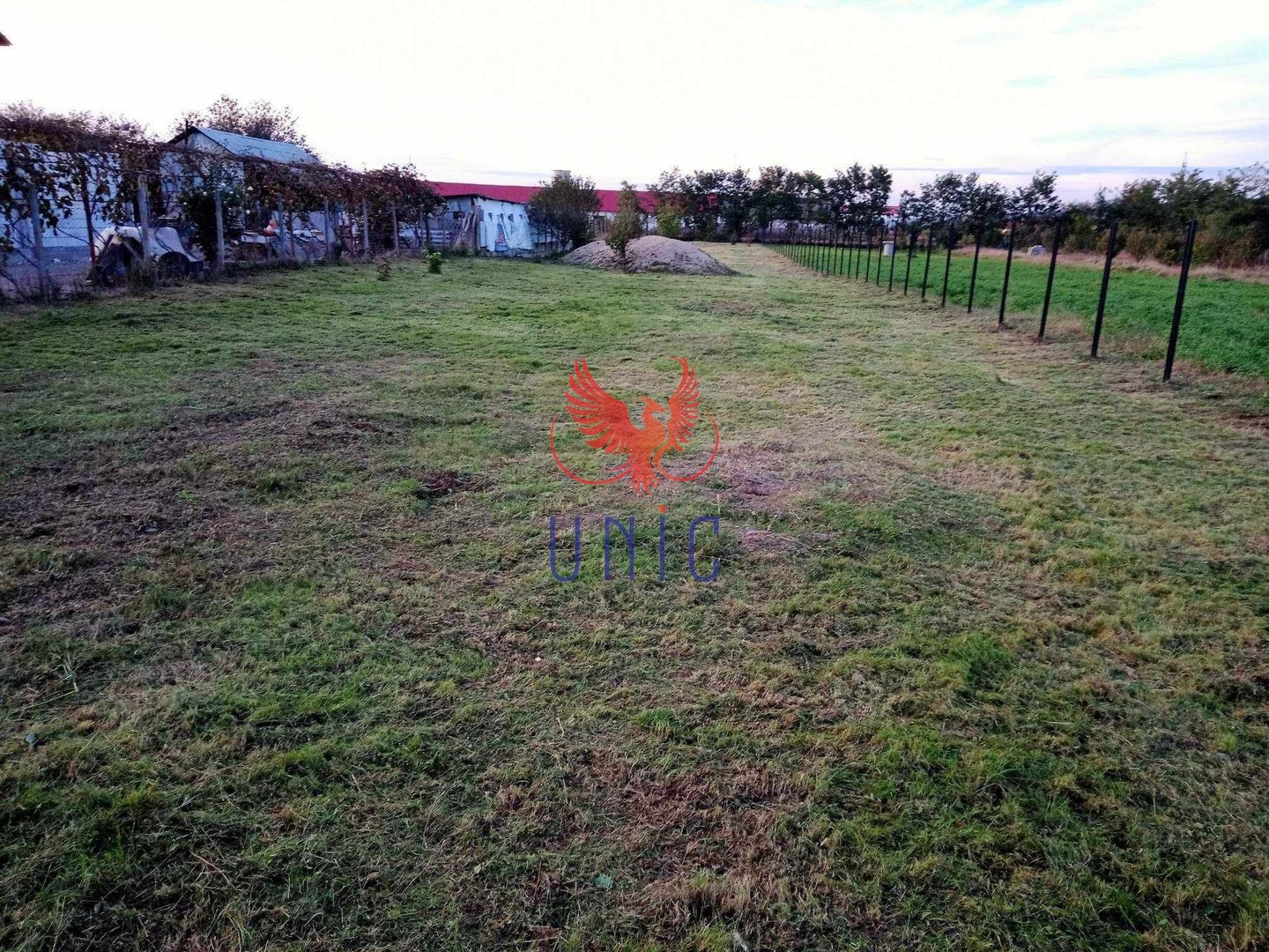 Teren intravilan, 1600 mp, Goiesti - Poză 6