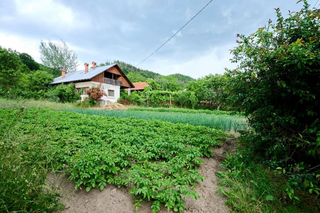 Casa cu teren generos - 4696 mp Apa Sarata - Campulung !! - Poză 5