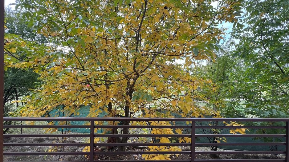 3 camere cu grădină proprie 128 mp - Poză 2