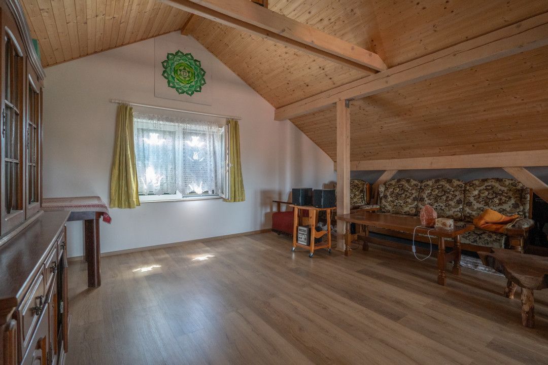 De Vânzare Casă Vânătorilor 9 ari teren - Poză 11