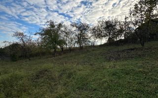 Vanzare teren cu HCL, zona Hub-ului Educational - Poză 6