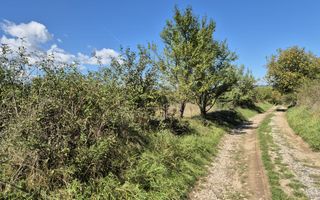 Teren intravilan în zona Lătureni – Buituri, în spatele casei nr. 100! - Poză 8