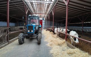 Vânzare, spațiu industrial, Raionul Glodeni, Satul Hîjdieni - Poză 4