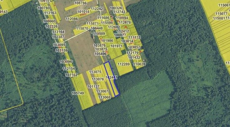 Teren extravilan de vânzare – 7777 mp,  Snagov (Ilfov) - Poză 1