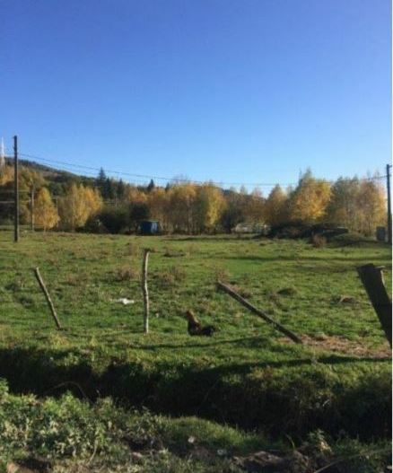 Teren Leresti - Poză 2