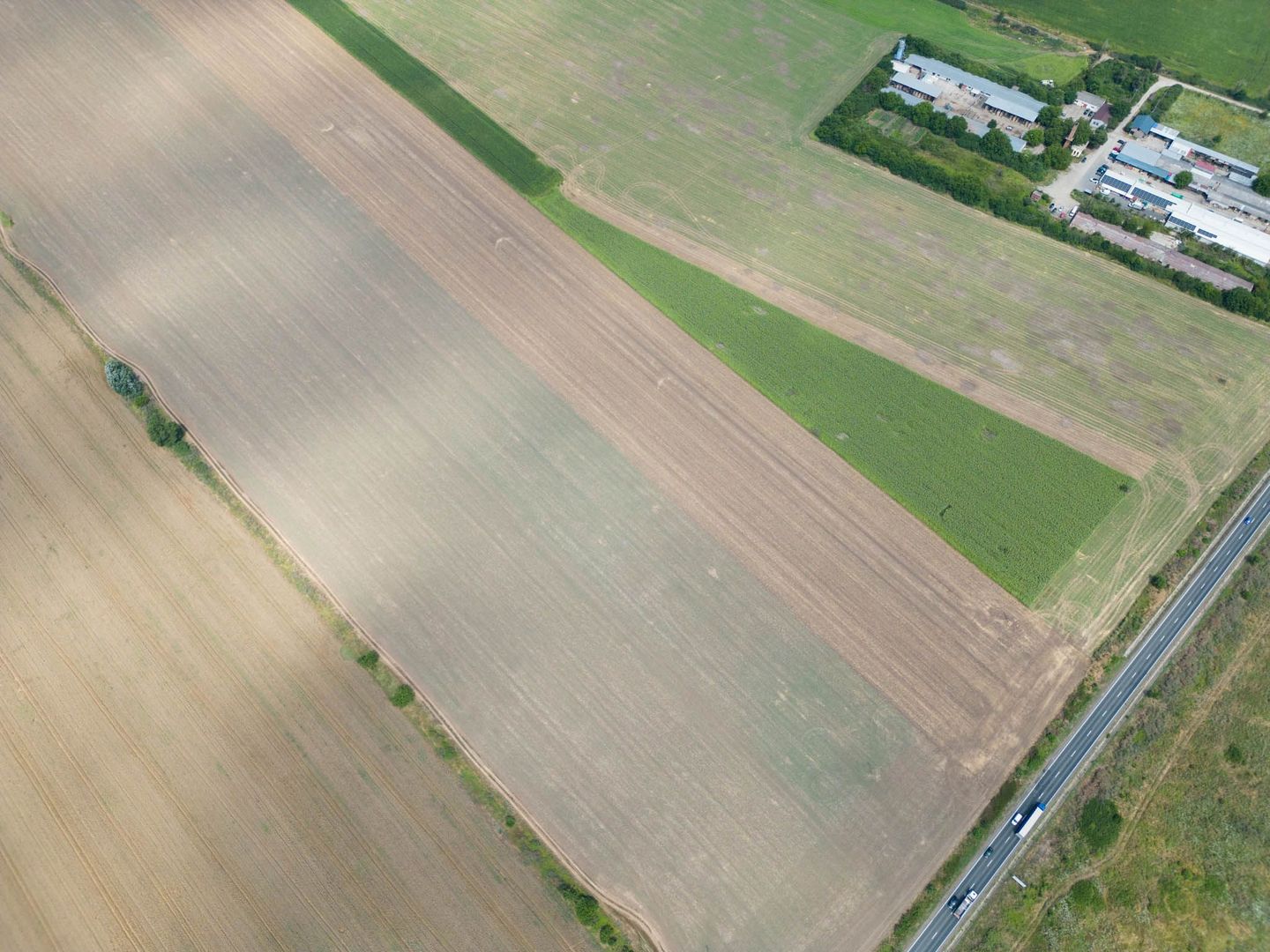 Teren extravilan 12.000 mp DN79 Arad-Oradea - Poză 6