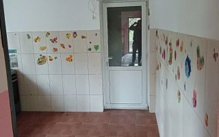 Casă P+1E, sat Păun, lângă pădure, 2 camere + etaj open-space, teren 300 mp, utilități complete - Poză 5