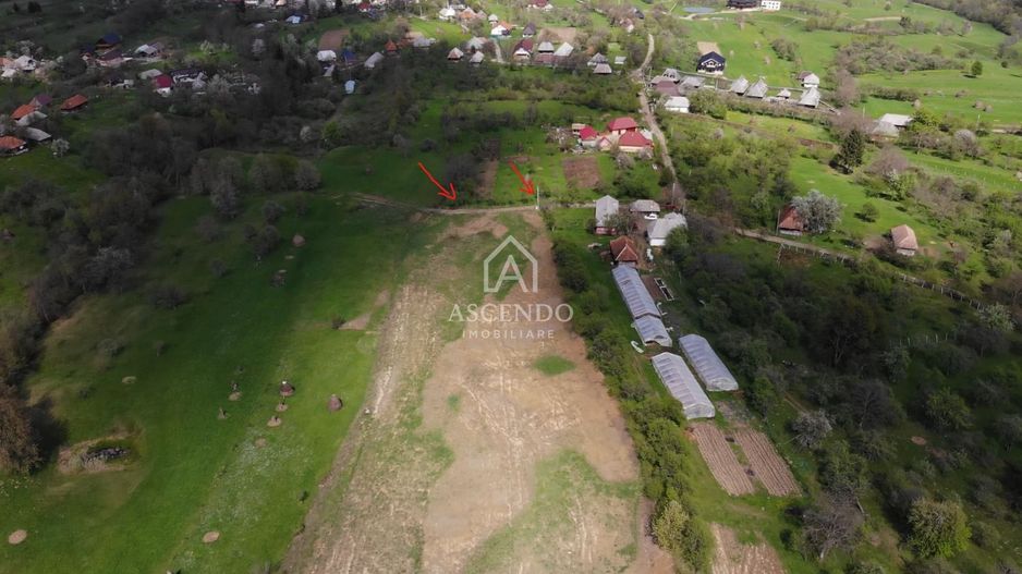 Teren 1,93 ha în Breb, Maramureș – zonă pitorească, Tăul Sărat - Poză 3