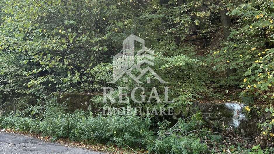 Teren extravilan de vânzare – Lacul Cinciș - Poză 7