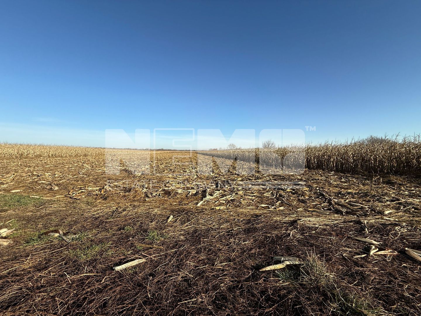 TEREN EXTRAVILAN  51 ARI |  HORODNIC DE JOS  | - Poză 9