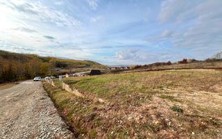 Teren 827mp, toate utilitatile, com. Ciugud, sat Teleac - Poză 2