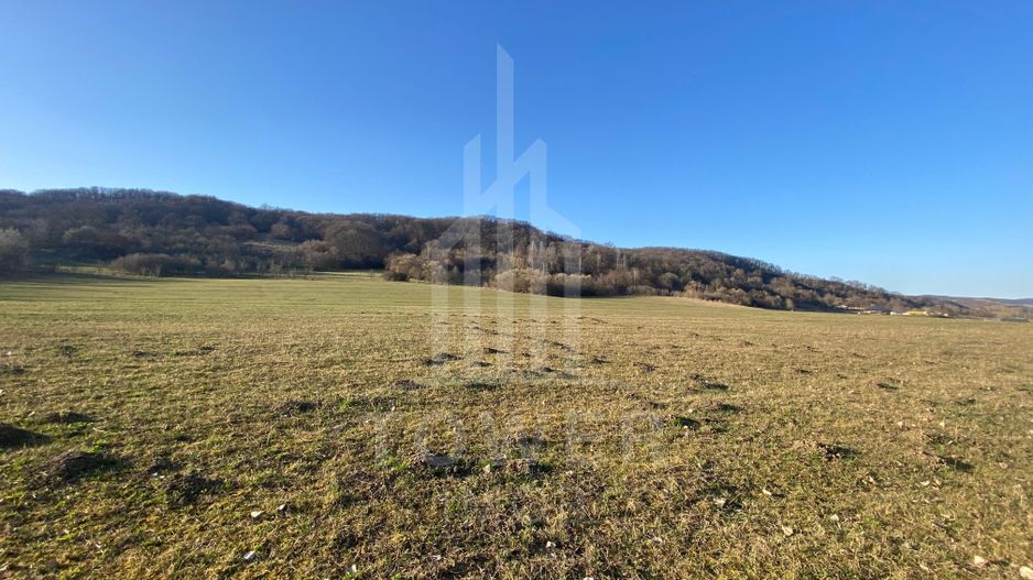 Teren de 7.500 mp de vânzare în Bradu, Avrig-COMISION 0% – lângă râul Olt. - Poză 5