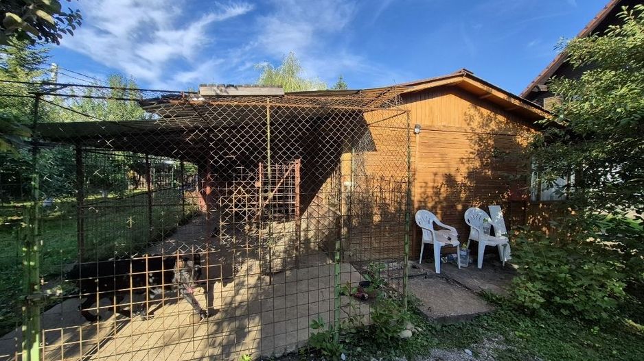 Cabana de lemn cu fundatie 86 mp+ livada pomi fructiferi+teren 847 mp - Poză 10