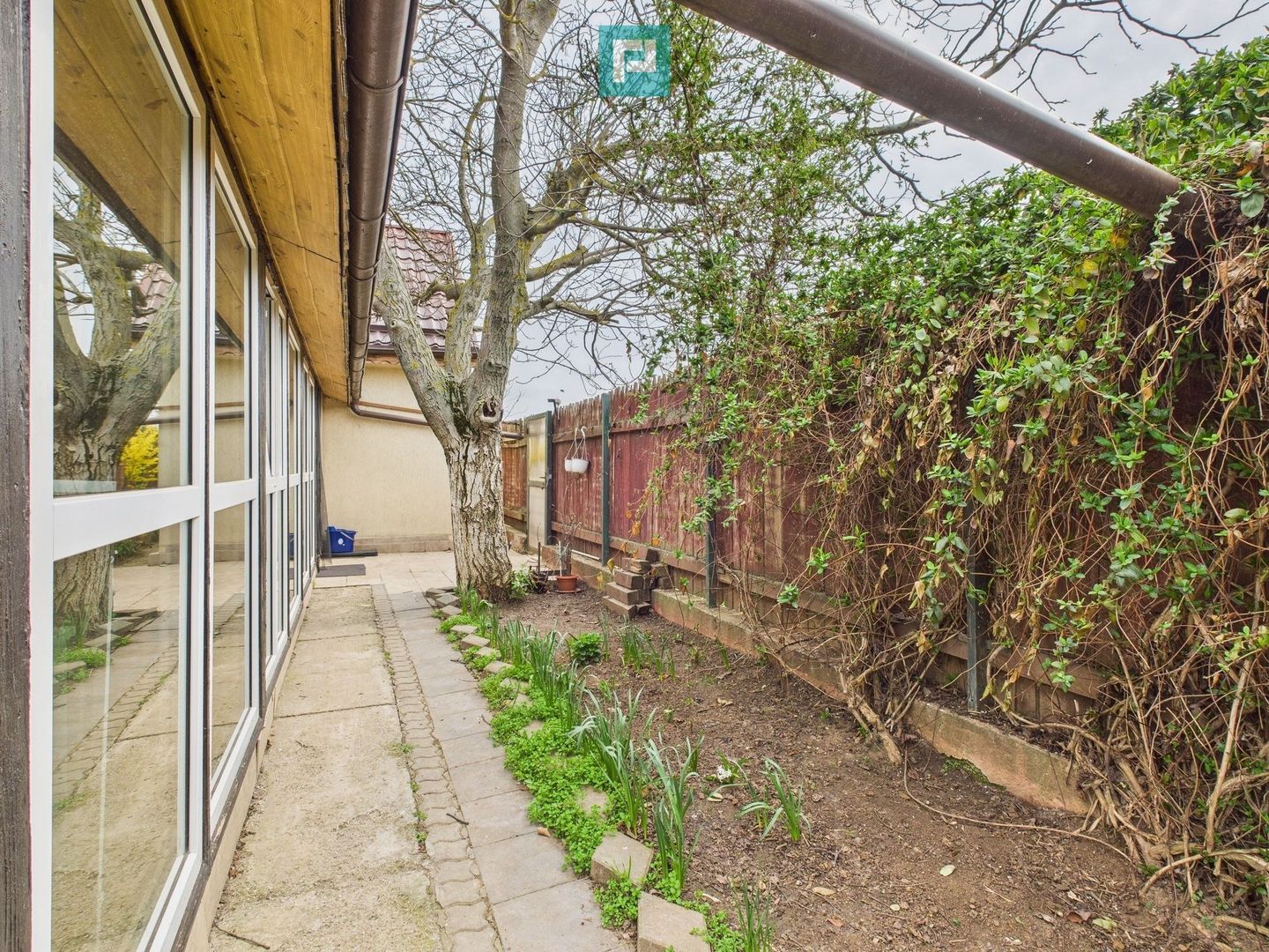 Adunații Copăceni Casă de vânzare Confort accesibilitate - Poză 10