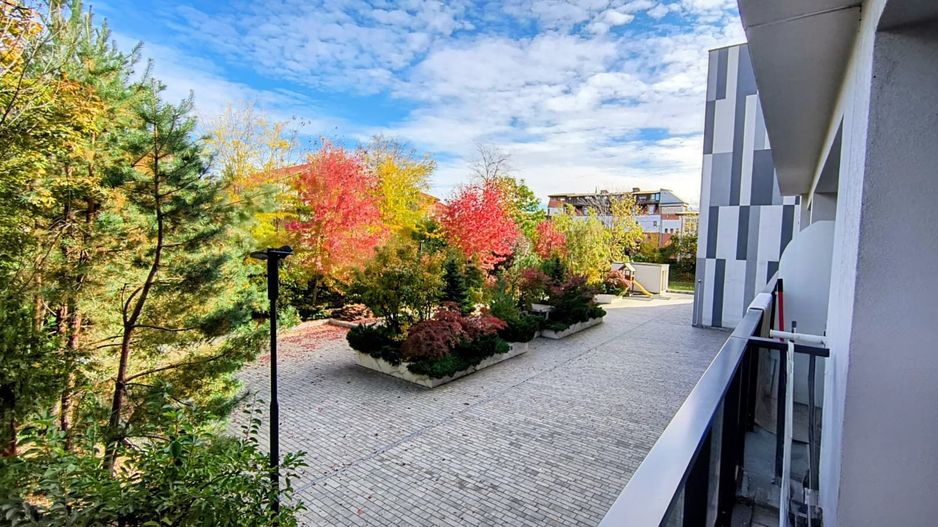 Iancu Nicolae- Gradina Zoologica- Jolie Ville- Loc parcare - Poză 5