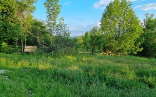 Teren Intravilan Ilisesti/Suceava - Poză 11